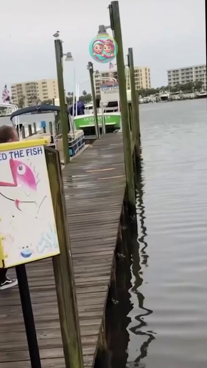 Plates for Toddlers   #AdamAndElea _______________Ready for mess-free meals Grab your WeeSprout suction plates now!    _______________Say goodbye to mealtime messes with our award-winning WeeSpro