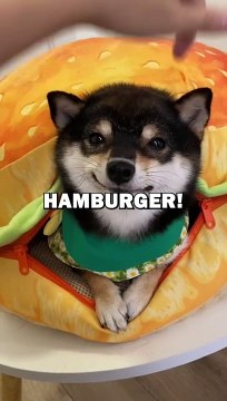 DOG LOVES MCDONALDS! #animalstories #pets #funnyanimals #cutedog #cute #animals #dogs