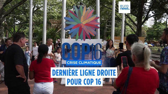 Biodiversité : les peuples autochtones prennent la parole à la COP16 en Colombie