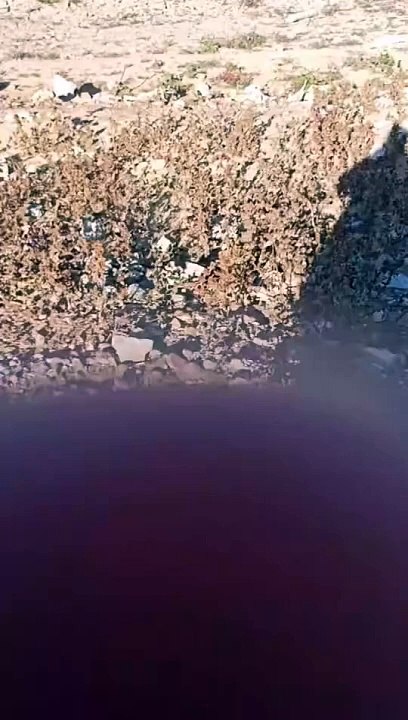 Bursa'da bataklığa saplanan kız çocuğu son anda kurtarıldı