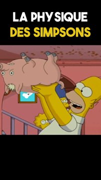 NON! SpiderCochon ne marche pas au PLAFOND! #sansfiltre #science #maths #physique