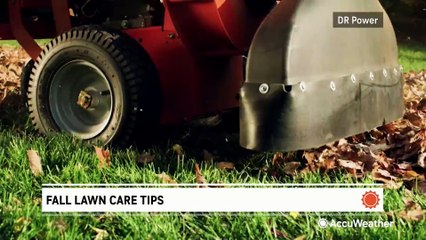 Fall Lawn Care Tips 🍂