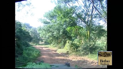 Bí Thư Tỉnh Ủy - Tập 28: Cập nhật mới nhất về hoạt động và lãnh đạo tỉnh 🏞️