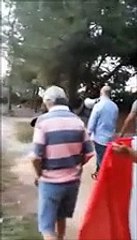 Ronda antibivacchi, tensione alla pineta