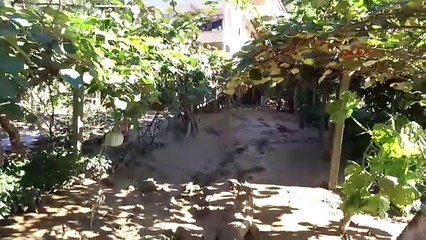 O ilimizde sel gitti geriye çamur kaldı