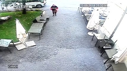 Uccelli all'attacco come nel thriller di Hitch