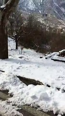 L'incontro ravvicinato con il lupo