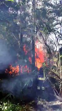 Fuoco vicino alle case a Silvi