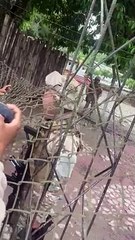 El video del soldado boliviano que respaldó la versión de Evo Morales respecto al atentado