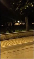 I cinghiali a passeggio di notte nel centro di Orsogna