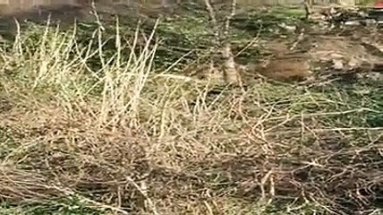 Teramo, i massi pericolanti rotolano nella scarpata