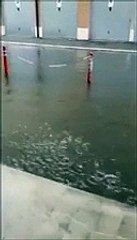 Pescara, citt? sott'acqua per il temporale: disagi e proteste