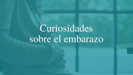 Sorprendentes Datos sobre el Embarazo que Debes Conocer 🤰