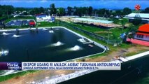 Ekspor Udang RI Anjlok Akibat Tuduhan Antidumping