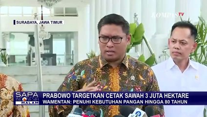 Prabowo Targetkan Cetak Sawah 3 Juta Hektar, Wamentan: Penuhi Kebutuhan Pangan hingga 80 Tahun