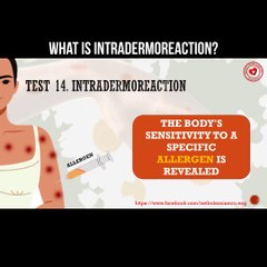 Understanding Intradermoreaction: A Key Allergy Test 🩺
