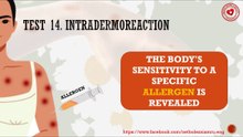 What is intradermoreaction?