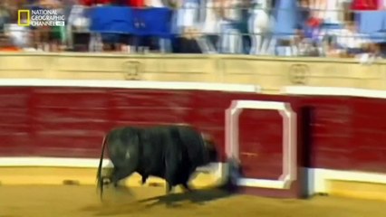 do or die hindi rapids