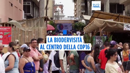 Colombia, Cop16 sulla biodiversità: "Dai governi risposte troppo lente"
