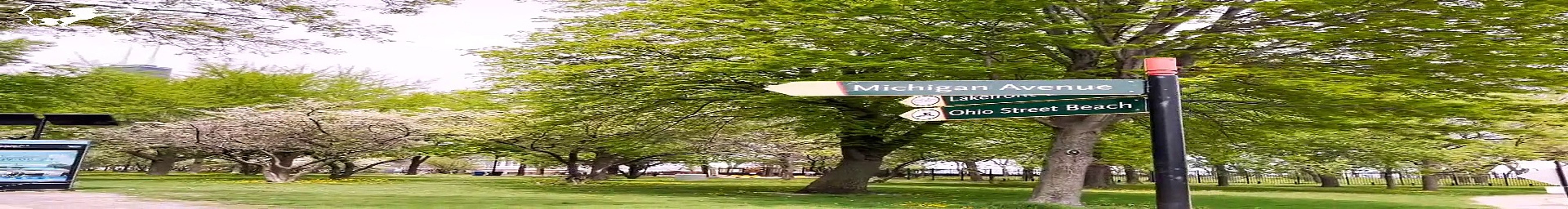 Navy Pier | Chicago, Illinois | Attractions