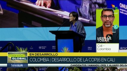 Segunda semana de la COP16  en Cali-Colombia