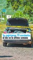 Se registraron 70 asesinatos al día en la última semana