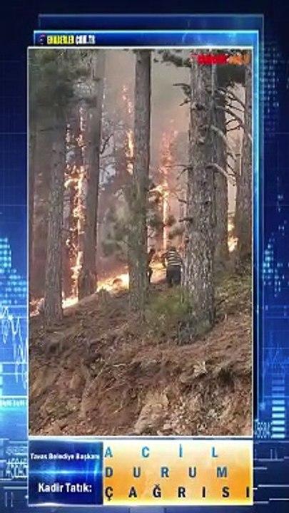 Tavas Belediye Başkanı Kadir Tatık: ACİL DURUM ÇAĞRISI