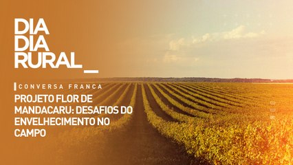 Projeto flor de mandacaru: desafios do envelhecimento no campo