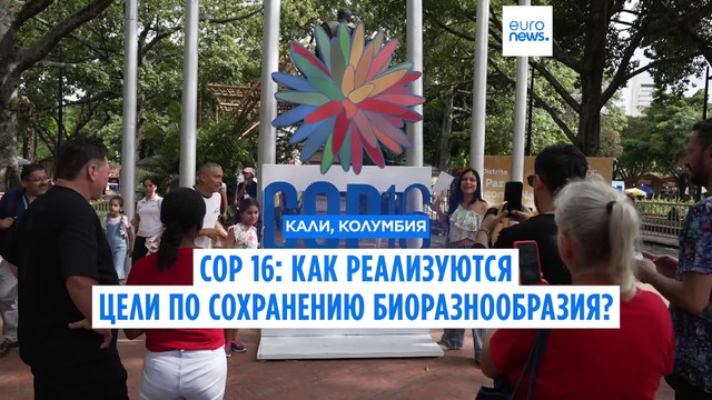 COP 16: коренные народы призывают страны выполнять обязательства по защите природы