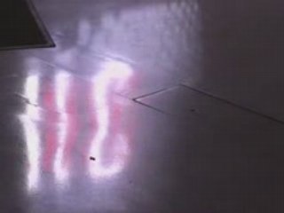 THEMOVIEOFTHEYEAR 17 avril 2008