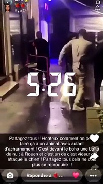 Les images révoltantes du videur d’une boîte de nuit de Rouen qui jette à trois reprises un parpaing en béton sur un chien - L homme a été licencié après la diffusion des images