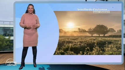 Julia Martin sur France 3 (28/10/2024)