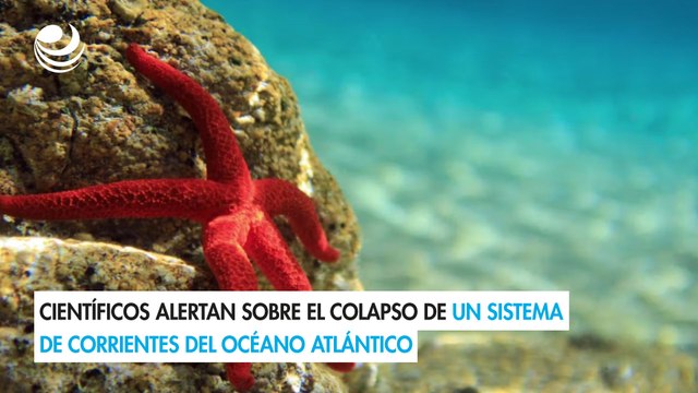 Científicos alertan sobre el colapso de un sistema de corrientes del océano Atlántico