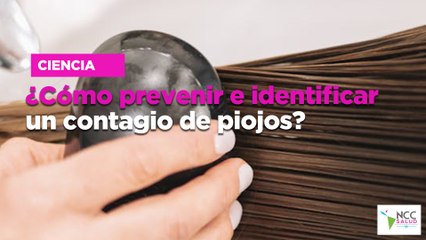 ¿Cómo prevenir e identificar un contagio de piojos?