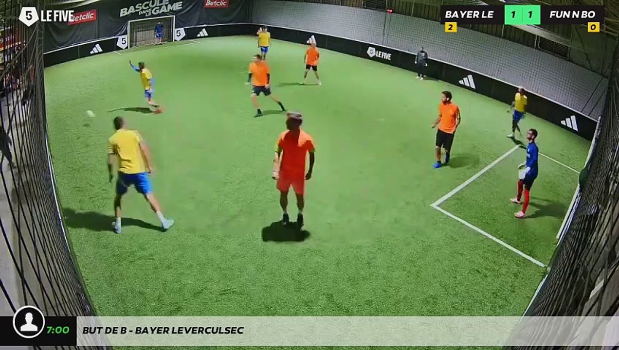 But de B - BAYER LEVERCULSEC