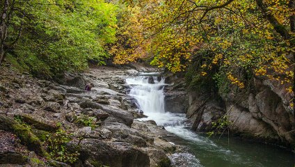 ✅Chuva na floresta paradisíaca Yoga zen relaxamento música positiva para dormir- Paz profunda