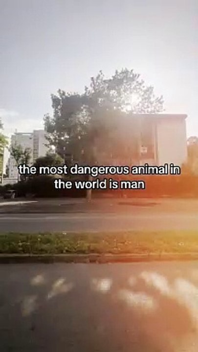 #motivation #quotes #success #mindset #motivational #motivationalvideo (13)