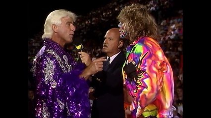 WWF Superstars: August 8, 1992