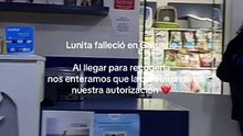 Mujer descubre que su gatita enferma fue incinerada sin autorización previa
