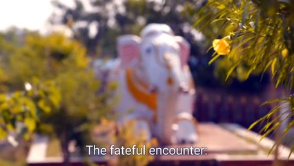 Why Does the Universe Destroy Boasting_ The Secret to Happiness & Success - Living in Harmony with Yin and Yang