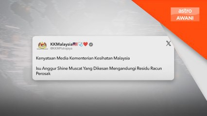 Keselamatan Makanan: KKM sahkan sampel anggur ‘shine muscat’ tiada residu racun perosak