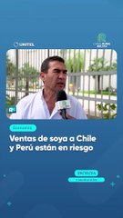 Ventas de soya a Chile y Perú están en riesgo