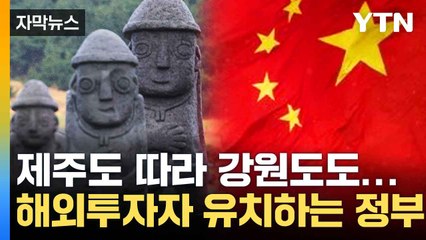 [자막뉴스] 부작용에도 똑같이...제주도 답습하는 정부 대책 / YTN