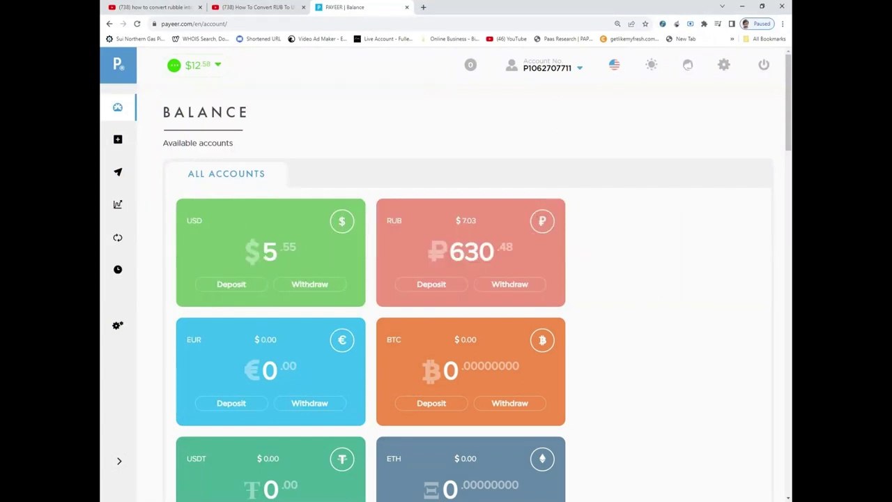 How To Convert RUB To USD in Payeer || How to exchange payeer ruble to usd
