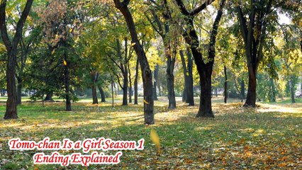 Tomo-chan Is a Girl Season 1 Ending Explained