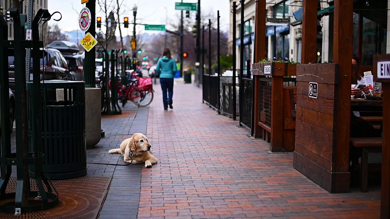 2048206-hd_1920_1080_30fps