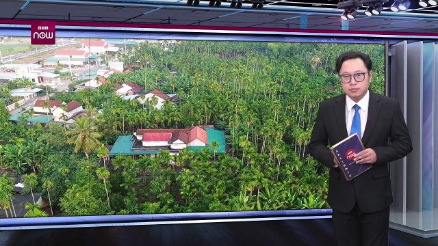 Thương lái Trung Quốc _quay xe_, giá cau lập tức rớt thảm, nông dân khóc ròng _ VTC Now