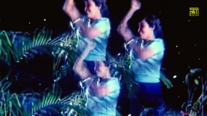 Dholo Dholo Raat   ঢলো ঢলো রাত   Razzak   Runa Laila   Prayeschitto   Anupam