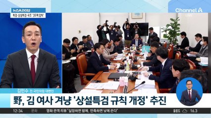 민주당, ‘3트랙’으로 김건희 여사 겨냥 총공세?