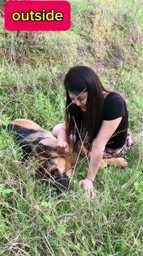 my dog always fight for food with me _shorts _smart dog4 _funny animals _funny_animal _shorts